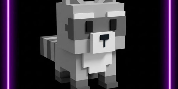 Raccoon