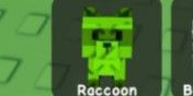 Rainbow Raccoon