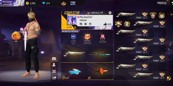 Cool Account Skin Sg Gurun and Evo Fist max