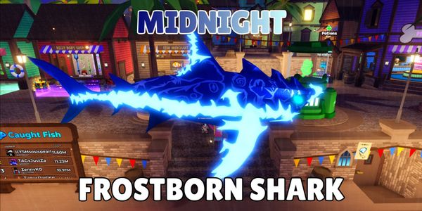 Midnight Frostborn Shark