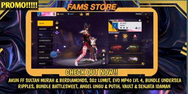 STUDENT DANA PROMO ACCOUNT, VAULT & DREAM WEAPON CHEAP AND CHEERFUL