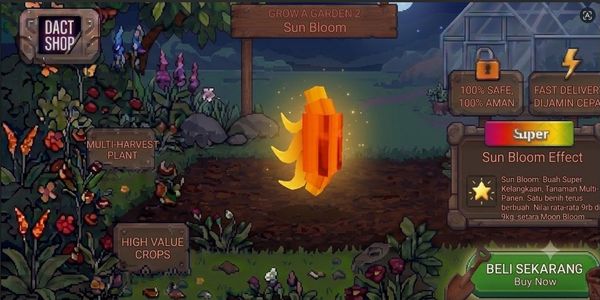 Sun Bloom
