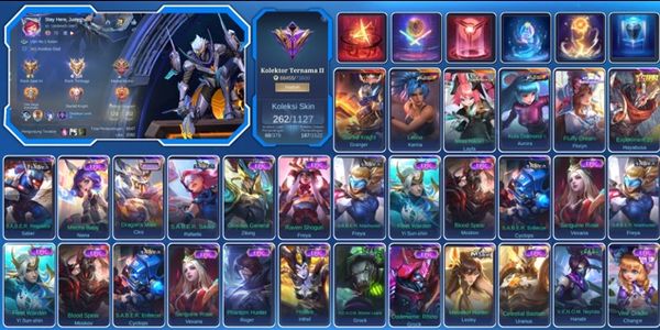 268 SKINS • EX IMMO • LEGEND GRANGER • 2 KOF • ASP LAYLA • 1 SANRIO • ANNUALSTARS HAYABUSA • 10 LIMITED