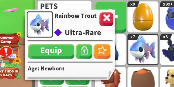 Rainbow Trout