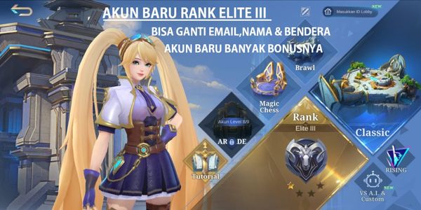SMURF ACCOUNT RANK ELITE WIN RATE 100%