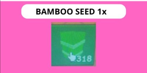 Bamboo Seed