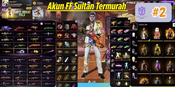 FREE FIRE ACCOUNT AS PER PHOTO #2