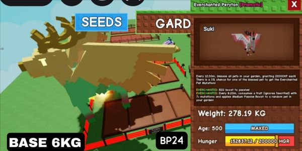 HUGE EVERCHANTED PERYTON 60KG / EVERCHANTED HUGE PERYRON 60KG / HUGE EVERCHANTED PERYTON 61KG / EVERCHANTED HUGE PERYRON 61KG