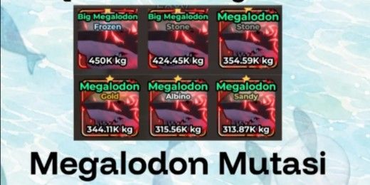 Megalodon
