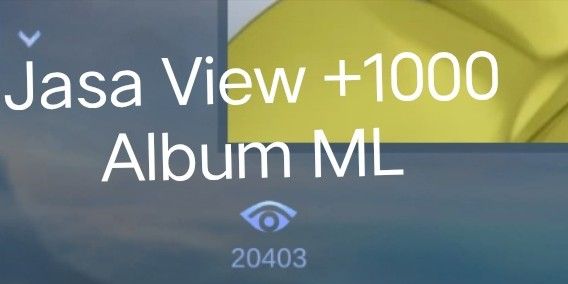 1000 View Album ML