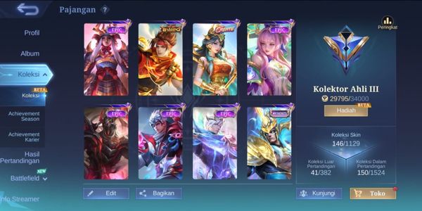 CHEAP ACCOUNT | EXPERT COLLECTOR | WITH LIMITED SKIN