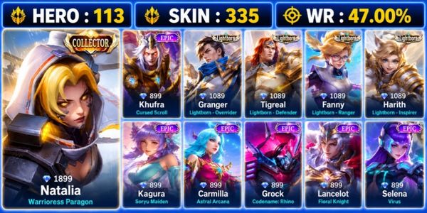 ACCOUNT SAFE 335 SKINS, COLLECTOR NATALIA, 12 EPIC SKINS, 4 LIGHTBORN SKINS GG, 3 DRAGON TAMER SKINS AND WARRANTY #YNRGAMING #SAFE
