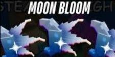 Moon Bloom