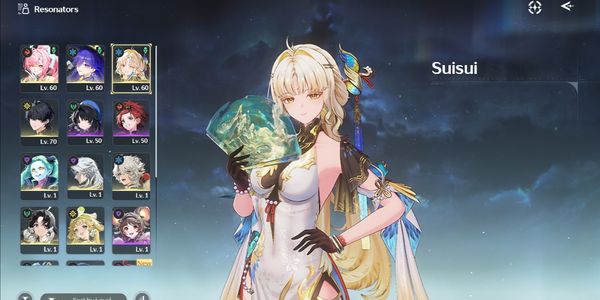 Suisui account sign, Lucilla rc1 sign & Aemeath sign [Sea]