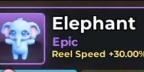 Elephant