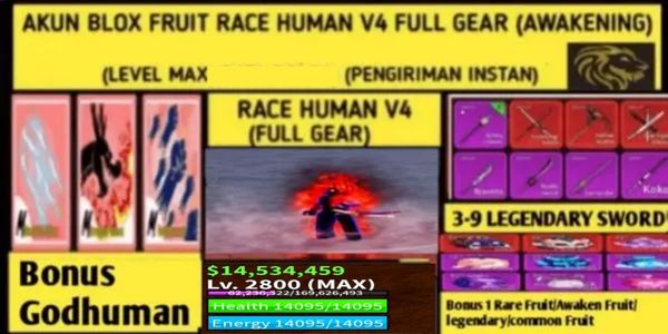 Blox Fruit Race Human V4 T10 Full Gear (AWAKENING) (LEVELMAX) Account