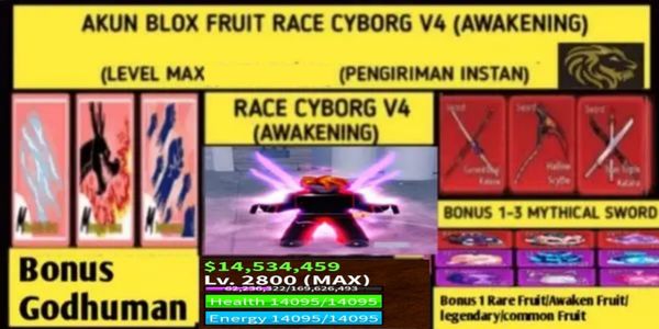 Blox Fruit Race Cyborg V4 T1 (AWAKENING) (LEVELMAX) (DATAPOLOS) Account
