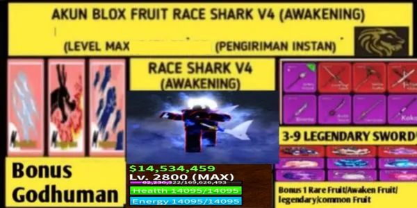Blox Fruit Race Shark V4 Account T1(AWAKENING) (MAX LEVEL) (Plain DATA)