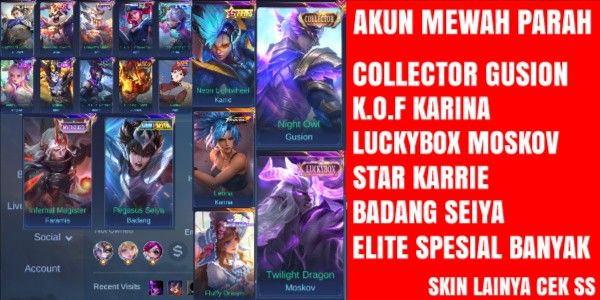 FAMOUS ACCOUNT COLLECTOR GUSION LUCKYBOX MOSKOV KOF KARINA FLORYN SANRIO STAR ANNUAL KARRIE