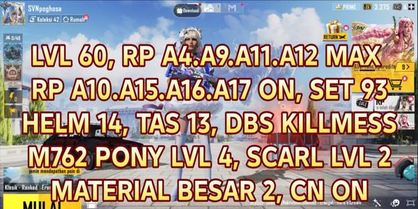PUBG MOBILE ACCOUNT RP MAX