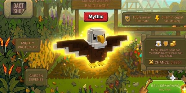 Bald Eagle