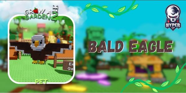 Bald Eagle