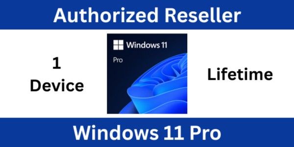 Microsoft Windows 11 Professional - 1 Device Lifetime