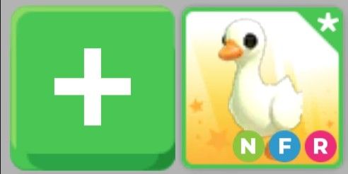 Goose NFR