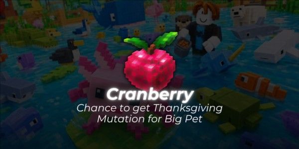 Cranberry - Build A Zoo