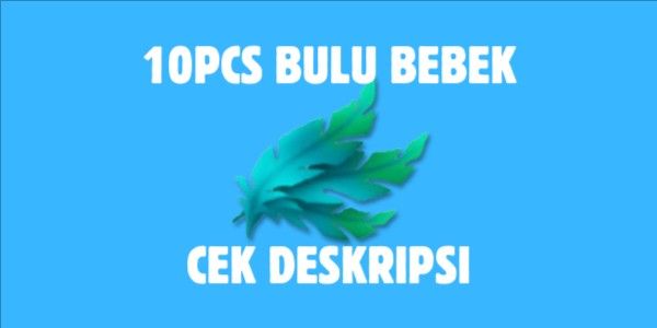 10 Pcs Duck Feathers