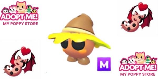 M Oakee Wizard Adopt Me