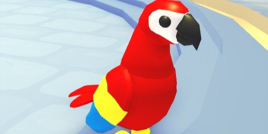 ببغاء فلاي رايد - Parrot FR | Adopt me