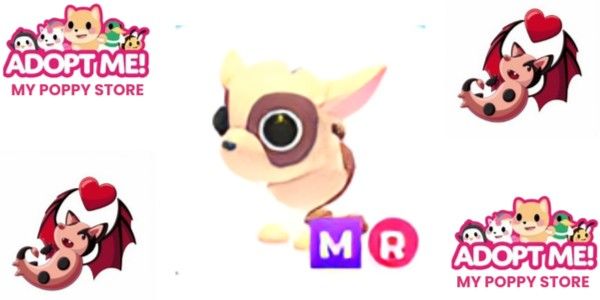 MR Kid Goat Adopt Me