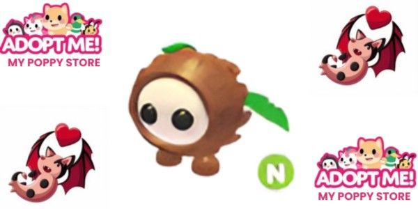 N Kokosnuss Freund Adopt Me