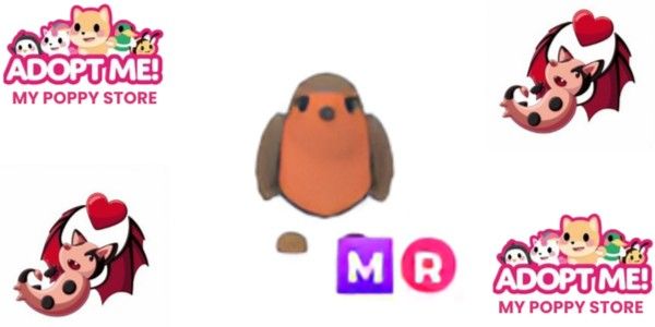 MR Robin Adopt Me