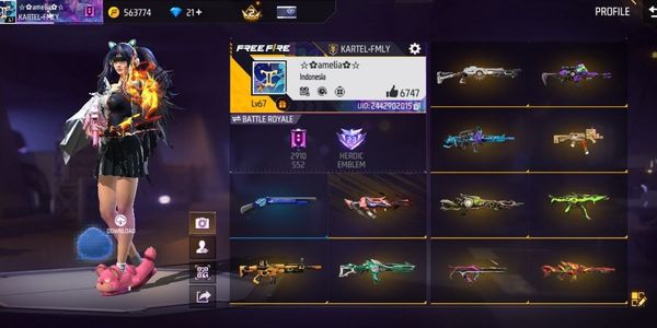 (0611) SG MAMBA COOL WEAPON BUNDLE | WEAPON SKIN 460 & VAULT 402 | ANTI HACKBACK | SAFE | CHEAP