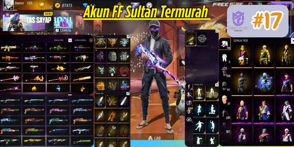 FREE FIRE ACCOUNT AS PER PHOTO #17