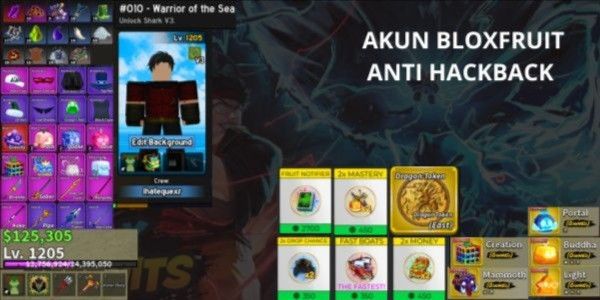 Account Blox Fruits GG [S] Permanente & Gamepass - 3