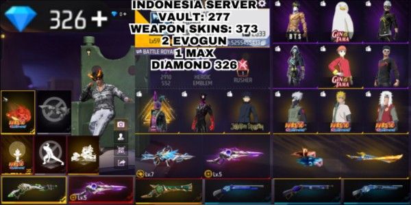 GG ACCOUNT SG 2 SKIN WITH WARRANTY