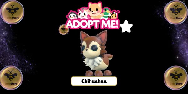Chihuahua