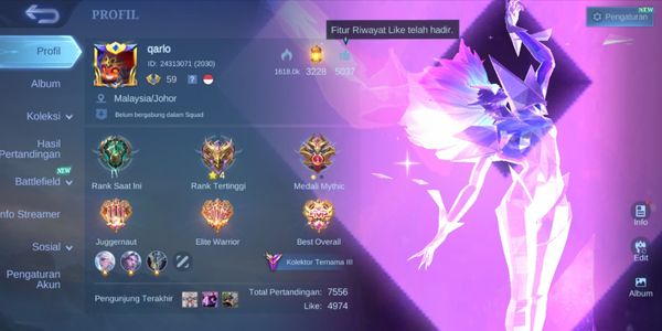 HERO EMBLEM ALL MAX SKIN 225 KOF AURORA TRANSFORMERS X-BORG ROGER LIMIT MARTIS IRITHEL KAGURA RUBY ODETTE M4 BEATRIX STUN SELENA LB HARITH ETC