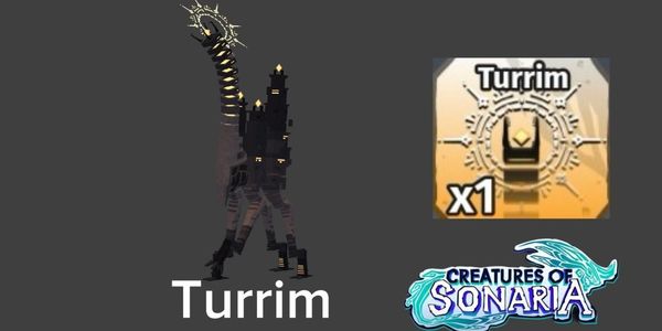 Turrim