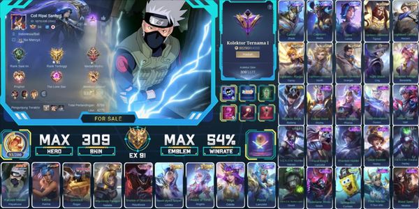 309 SKINS, NARUTO HAYABUSA, KOF KARINA, COLLECTOR NATALIA, 5 ZODIAK, LIMIT HAYABUSA