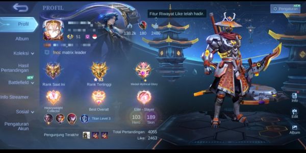 amz94 selling user account yss, good win rate, cool skins, awesome effects, lots of emotes, lots of items, all emblems maxed, plus squad, cheap sis