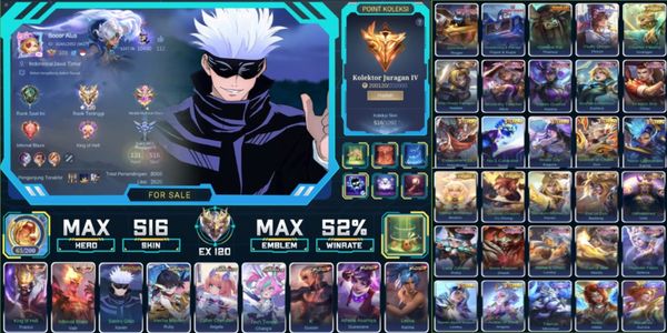 516 SKINS, JJK XAVIER, 4 COLLECTOR, 3 ASPIRANT, 3 KOF, 3 PRIME, 11 ZODIAK