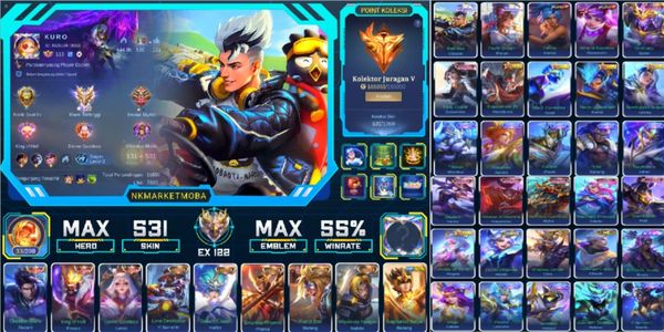 531 SKINS, HOHER RANG *122, 3 LEGENDÄR, 5 SAMMLER, 2 SANRIO, KOMPLETTE ZODIAK-SKINS