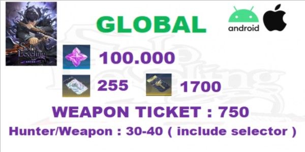 Solo Leveling Arise Global-2 Account
