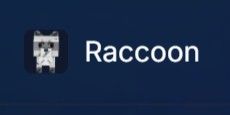 Raccoon