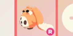 Cabbit