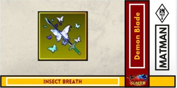 Insect